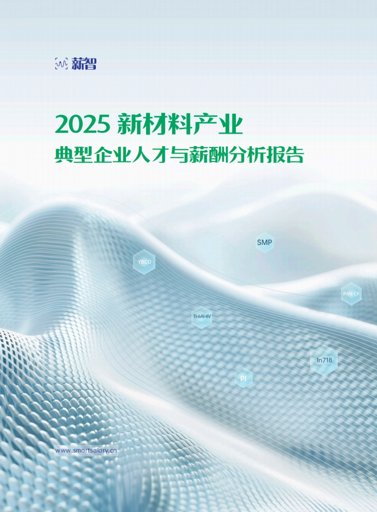 2025年新材料产业典型企业人才与薪酬趋势分析报告-薪智_第1页