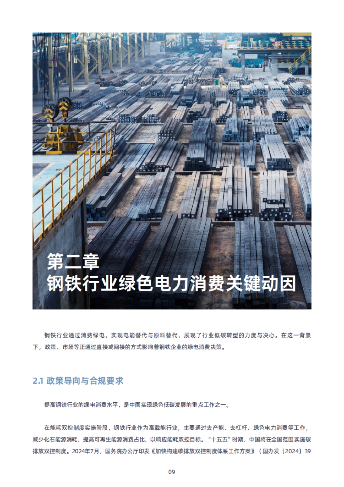 2025年中国钢铁行业绿电消费的进程、挑战与建议报告-绿色和平清华大学四川能源互联网研究院_第9页