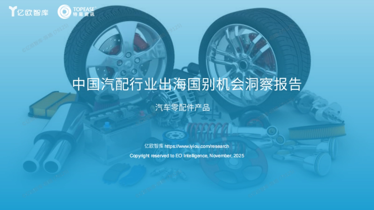 2025中国汽配行业出海国别机会洞察报告-亿欧智库&特易资讯_第1页