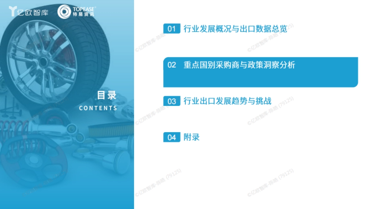 2025中国汽配行业出海国别机会洞察报告-亿欧智库&特易资讯_第10页