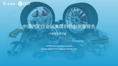 2025中国汽配行业出海国别机会洞察报告-亿欧智库&特易资讯