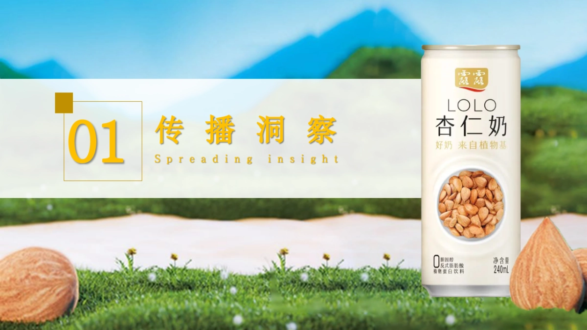 双十二快消品杏仁奶饮料新品营销推广方案_第4页