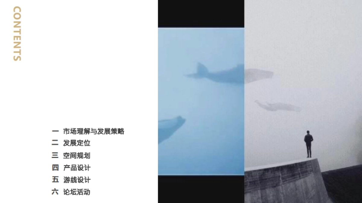 中南唐山湾文旅小镇定位规划策划方案_第4页