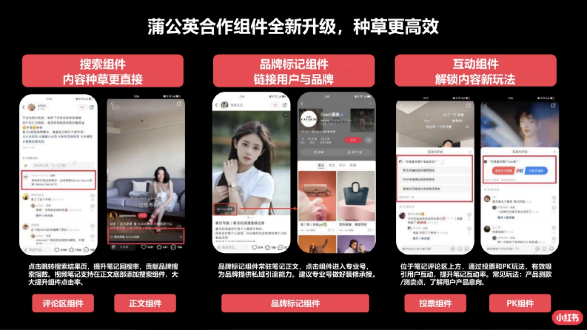 2023年蒲公英奢品行业投放指南_第3页