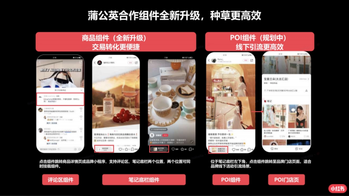 2023年蒲公英奢品行业投放指南_第4页