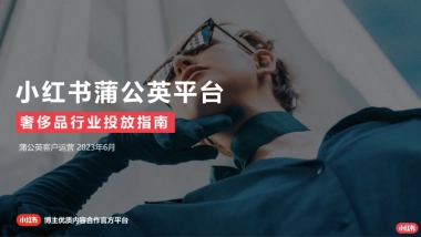 2023年蒲公英奢品行业投放指南