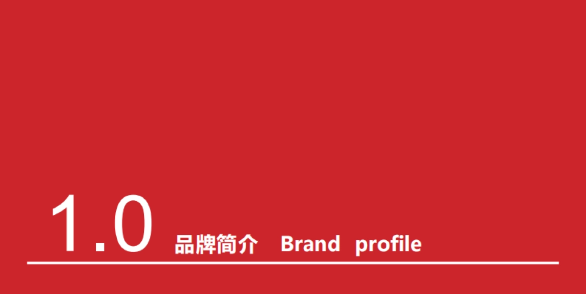 哪吒潮孩童装品牌策划_第4页