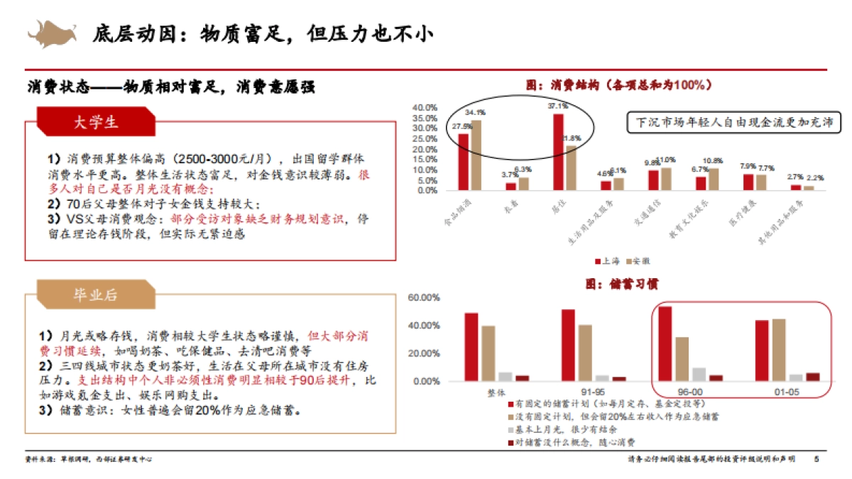 新消费行业系列报告：2025Z世代消费者调研-西部证券_第5页