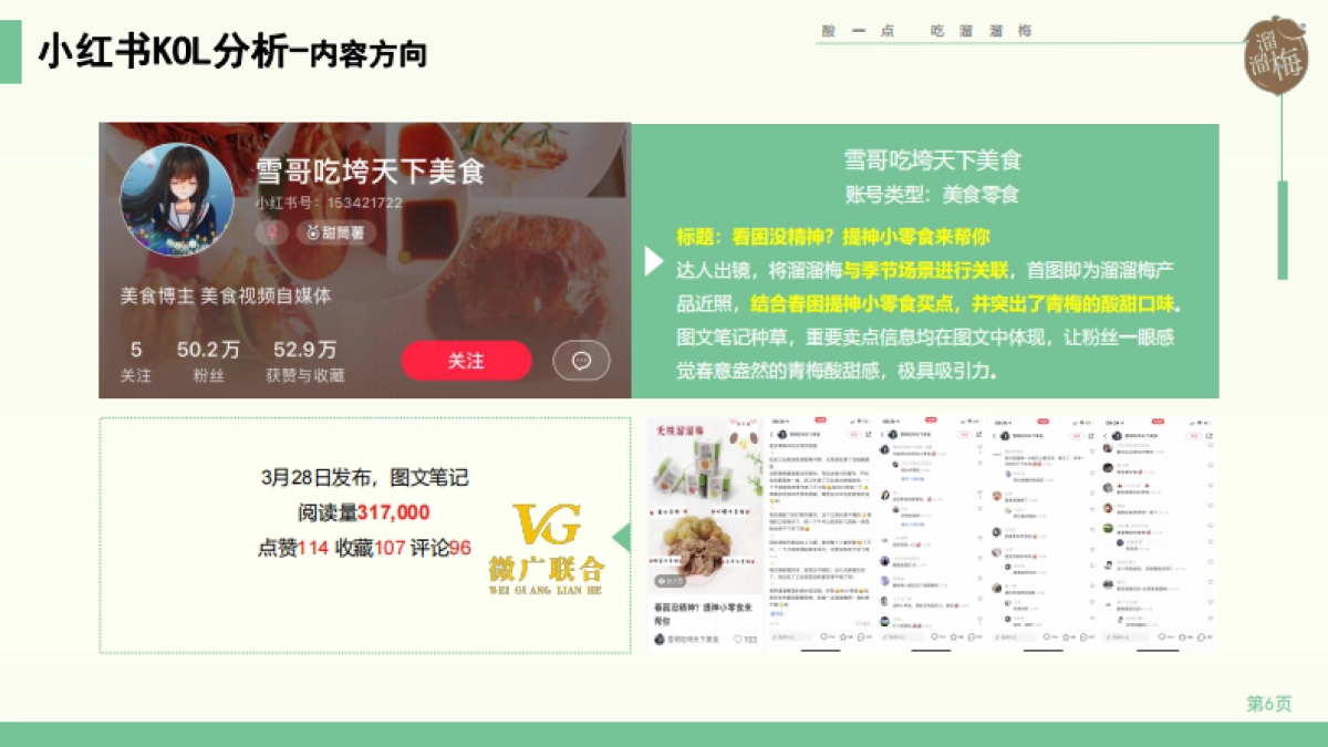 2021溜溜梅小红书KOL+KOC投放结_第6页