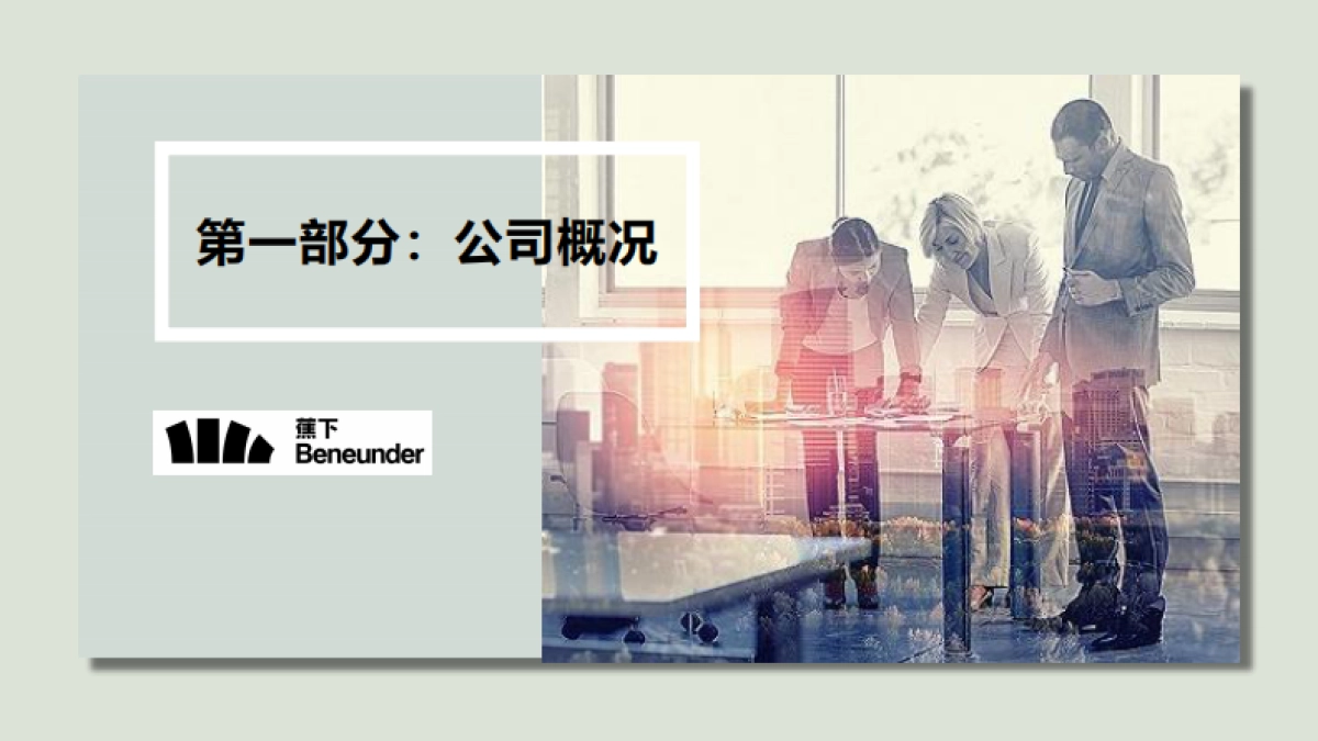 2020蕉下天猫专卖店运营规划_第3页