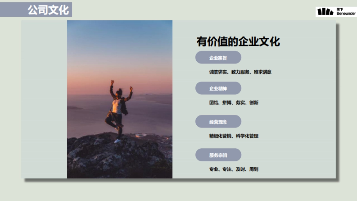 2020蕉下天猫专卖店运营规划_第5页