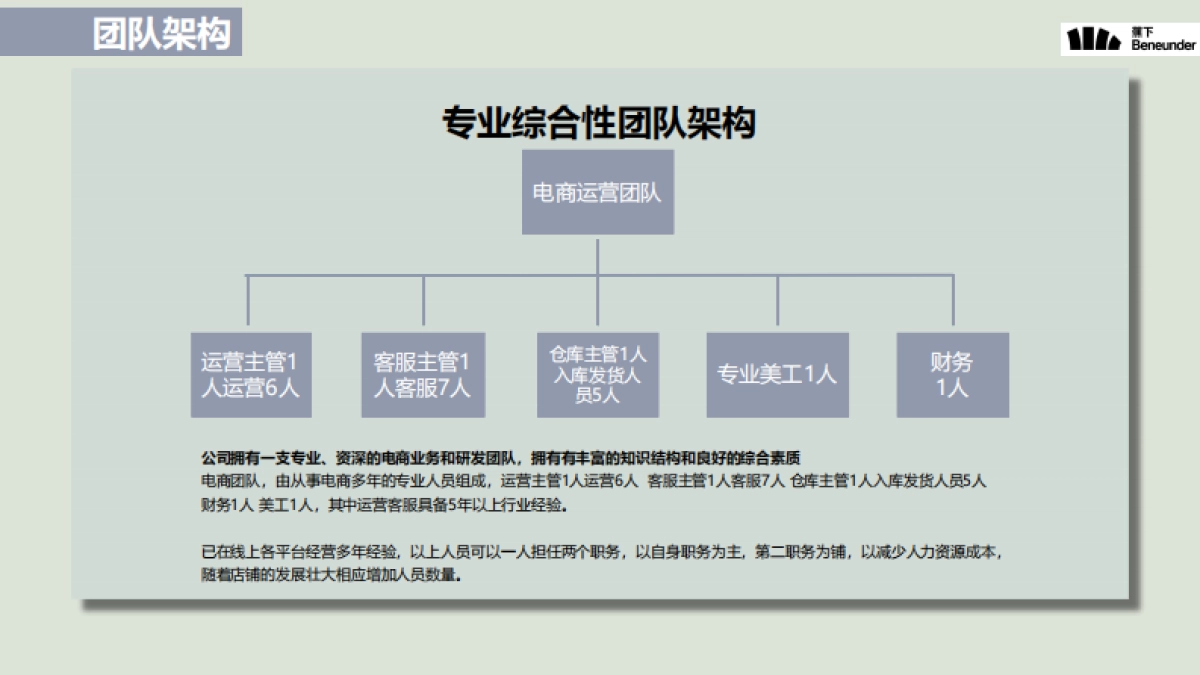 2020蕉下天猫专卖店运营规划_第8页