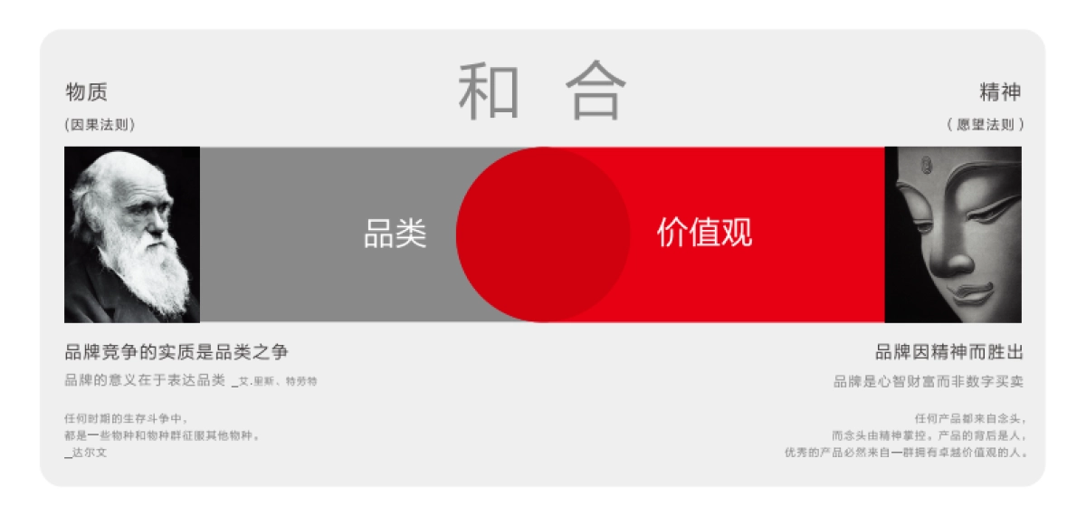 牌基因序列_第8页