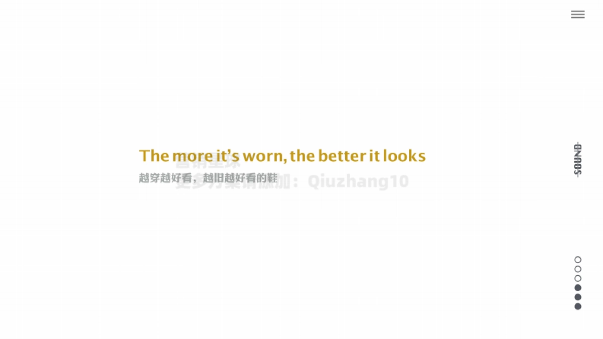 Campaign Creative Presantation by SGAD_第3页