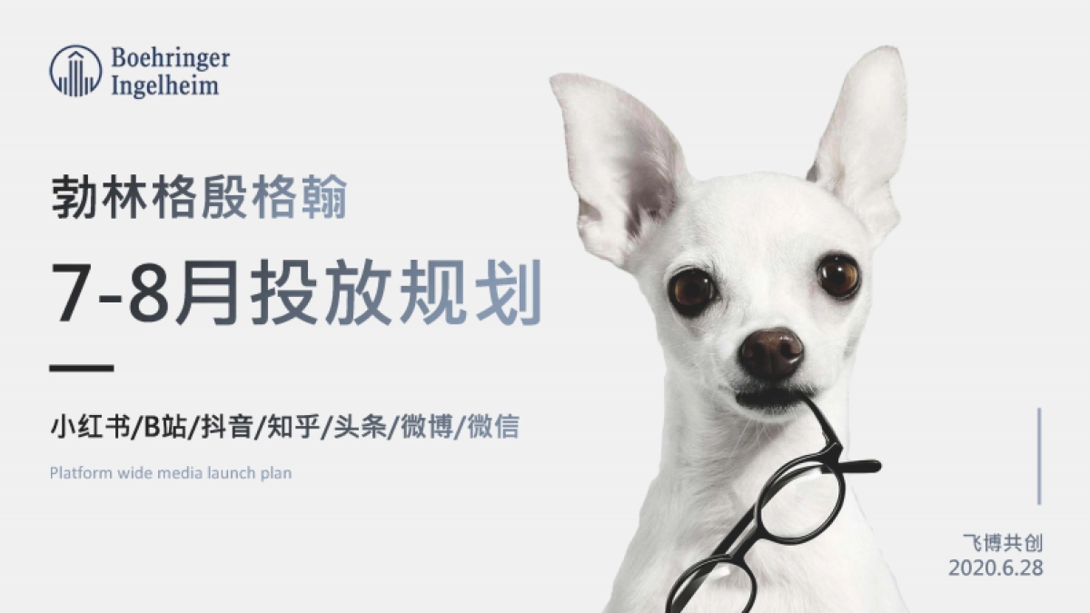 勃林格殷格翰宠物食品7-8月投放规划_第1页