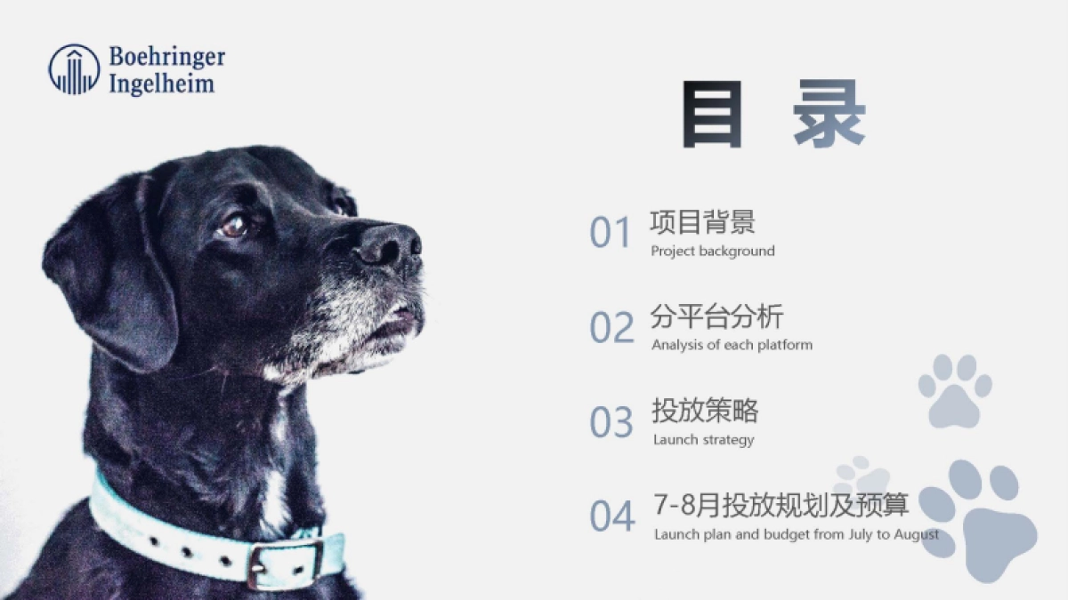 勃林格殷格翰宠物食品7-8月投放规划_第2页
