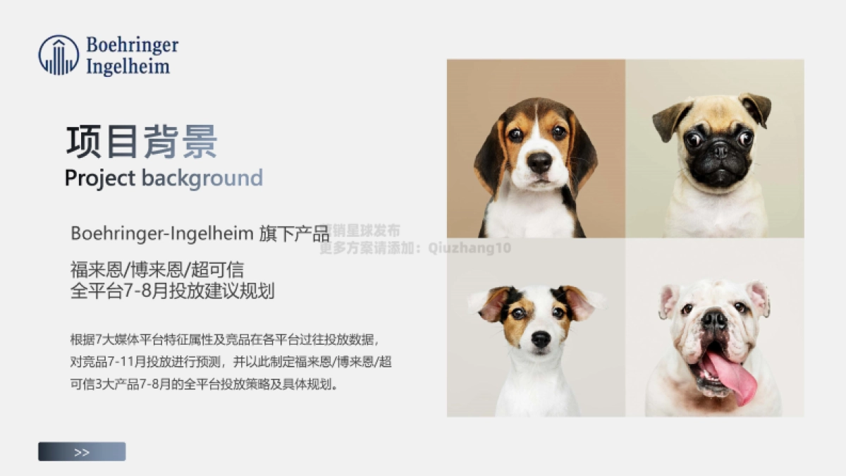 勃林格殷格翰宠物食品7-8月投放规划_第3页