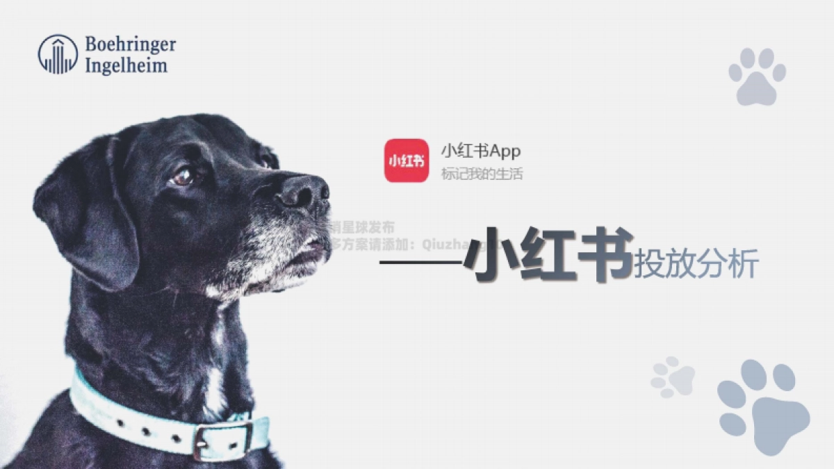 勃林格殷格翰宠物食品7-8月投放规划_第4页