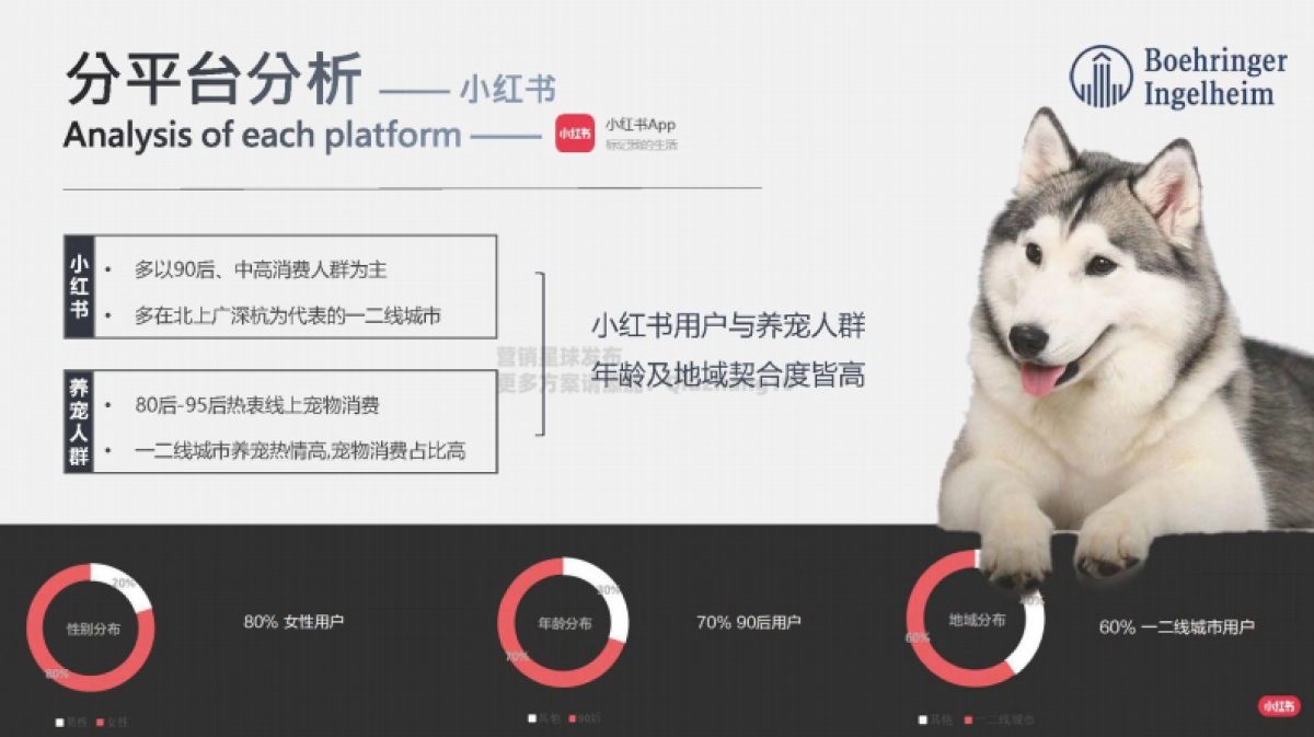 勃林格殷格翰宠物食品7-8月投放规划_第5页