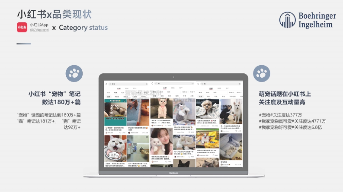 勃林格殷格翰宠物食品7-8月投放规划_第6页