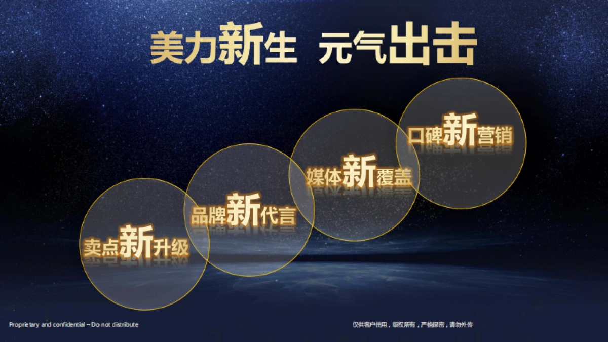 雅培经典恩美力市场及渠道计划_第2页