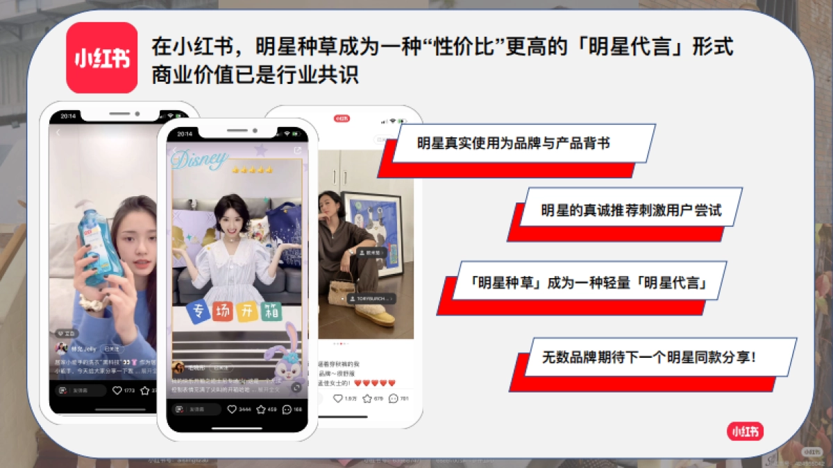 小红书星想事成计划2.0_第2页