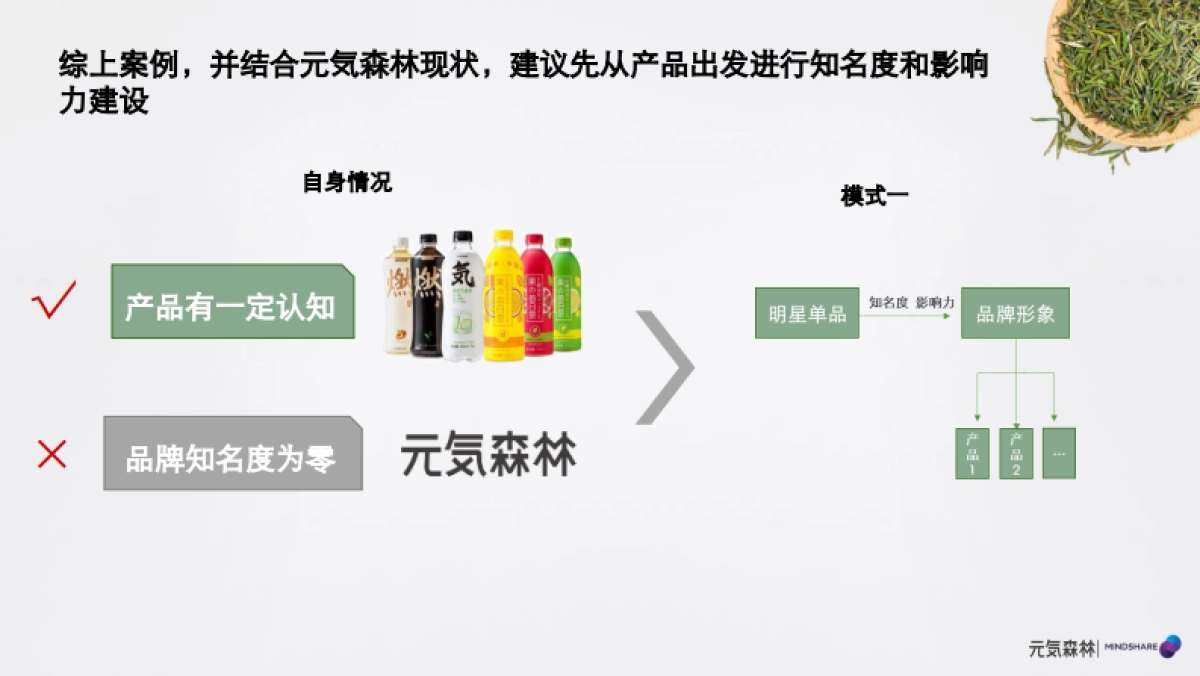 元気森林媒介投资规划_第10页