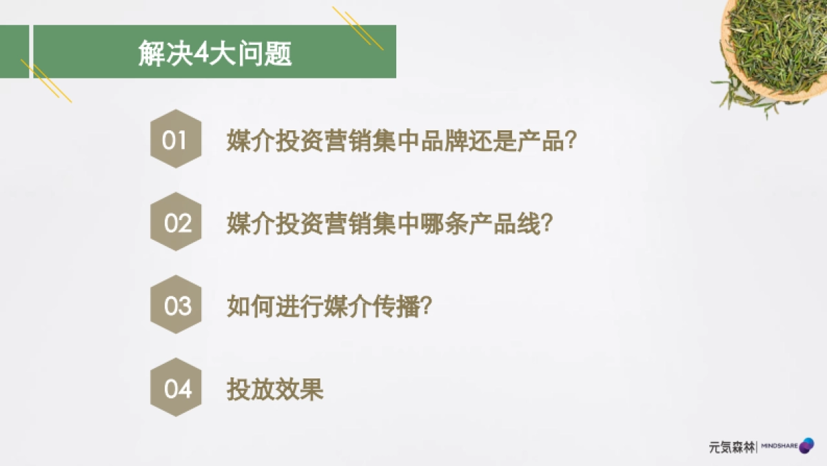 元気森林媒介投资规划_第2页