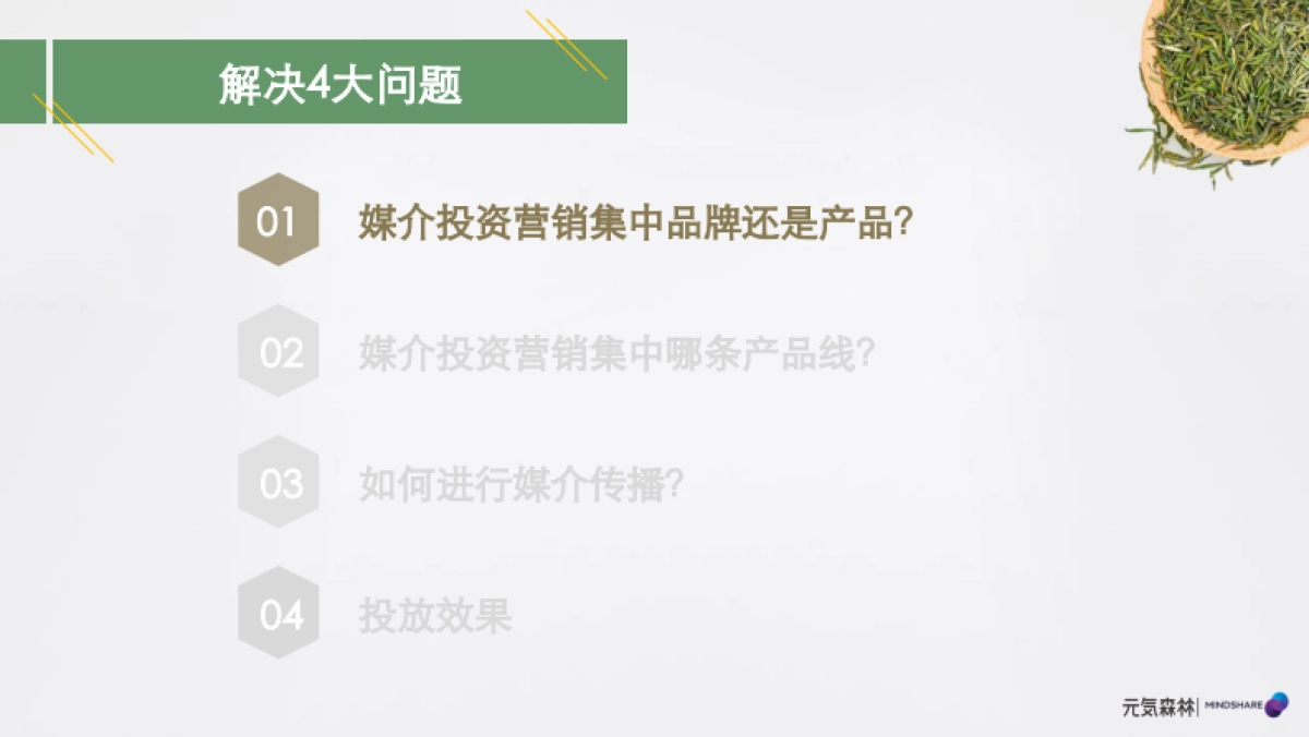 元気森林媒介投资规划_第3页