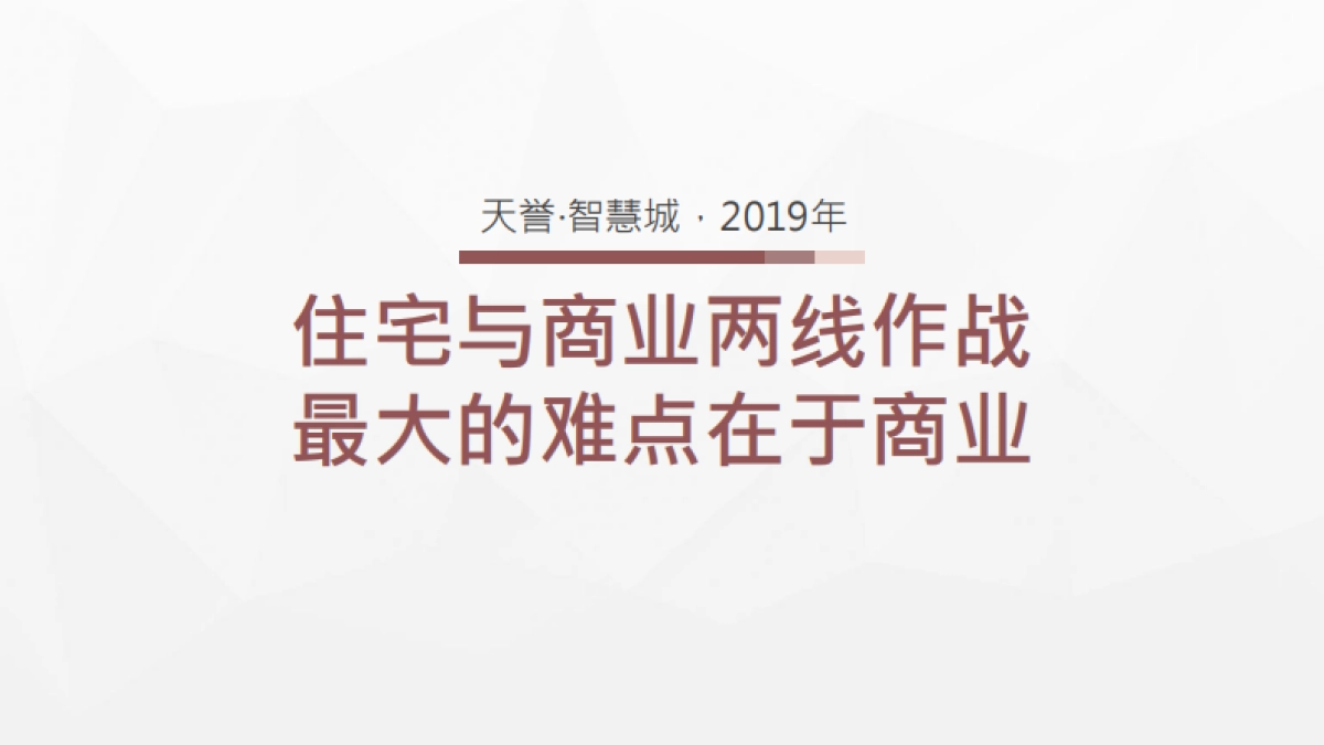天誉智慧城19年竞标方案_第3页