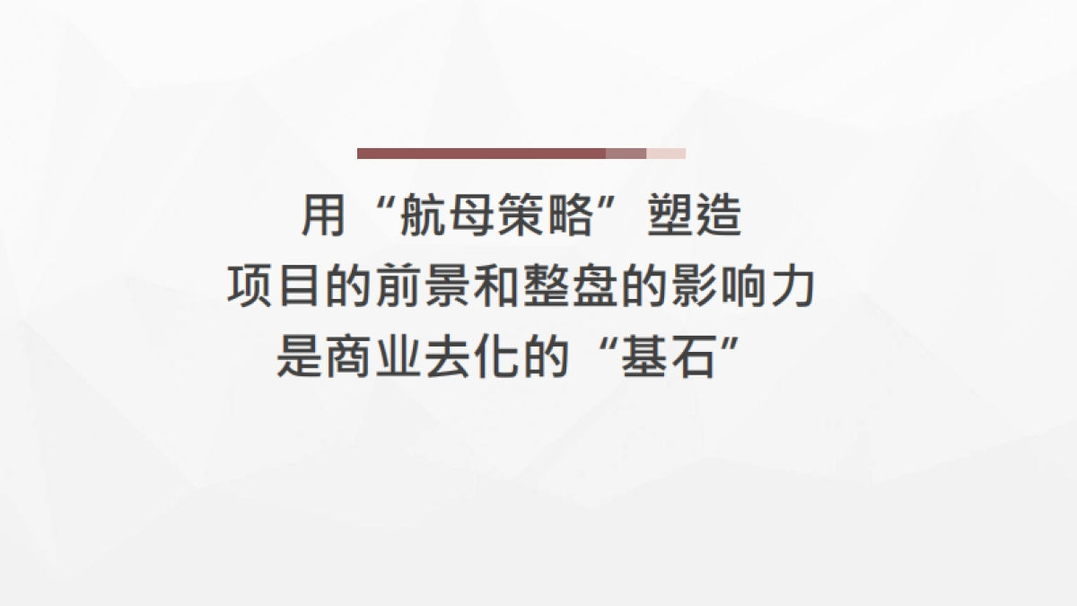 天誉智慧城19年竞标方案_第6页