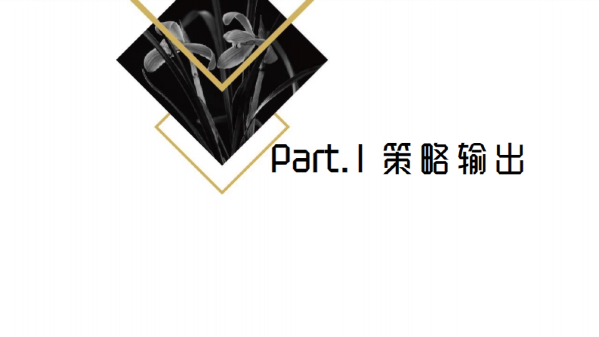 保兰德高定制版social引爆方案_第2页