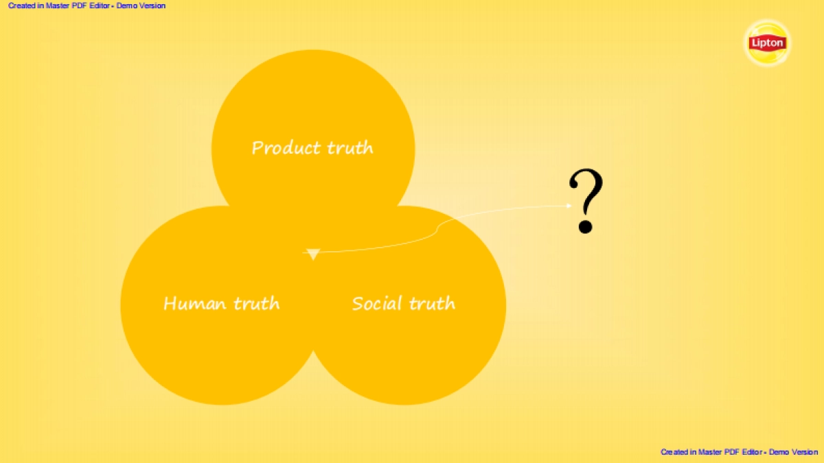 Lipton 2017 Social Campaign Plan_第10页