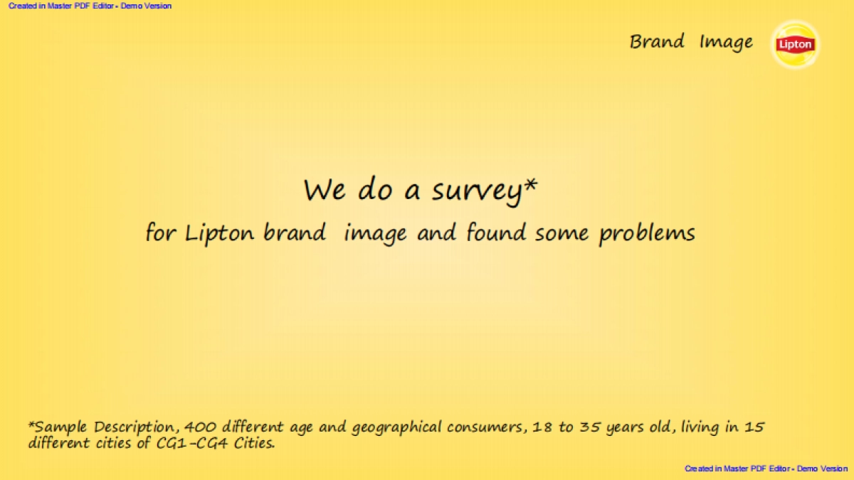 Lipton 2017 Social Campaign Plan_第3页