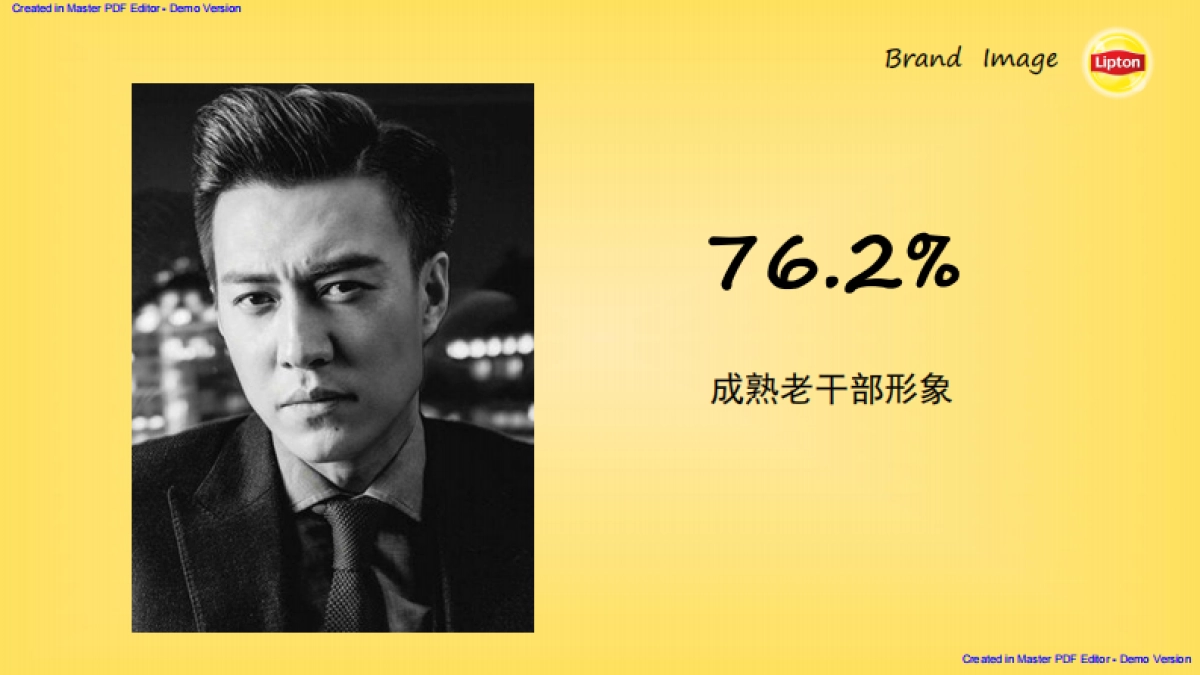 Lipton 2017 Social Campaign Plan_第4页