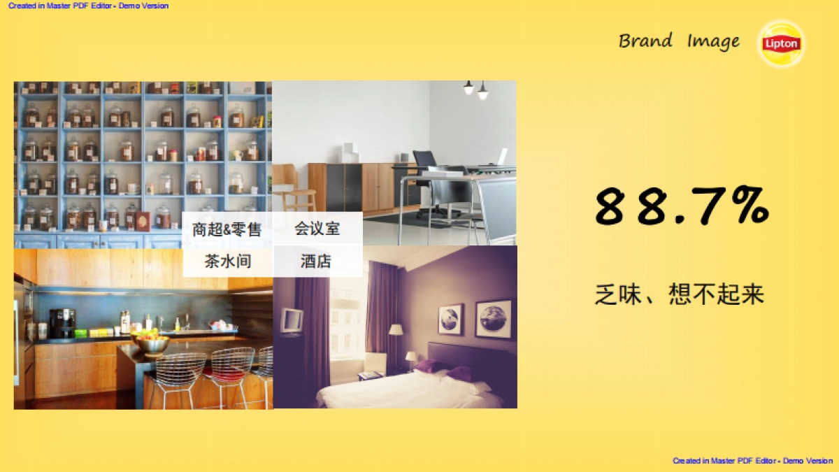 Lipton 2017 Social Campaign Plan_第5页