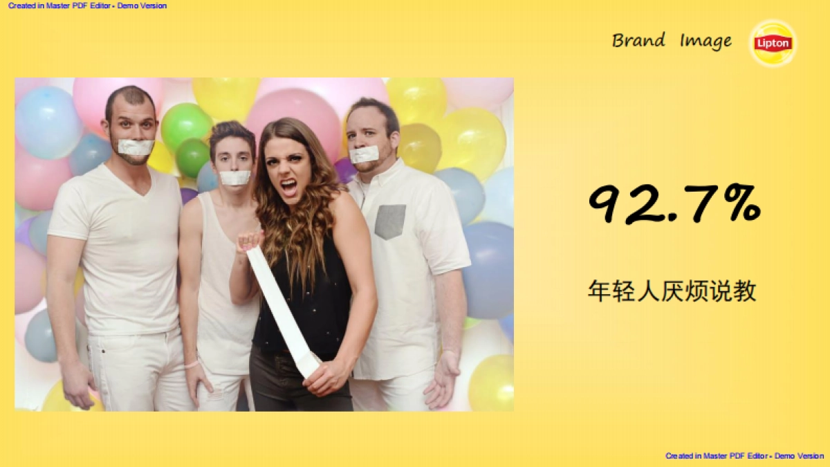 Lipton 2017 Social Campaign Plan_第6页