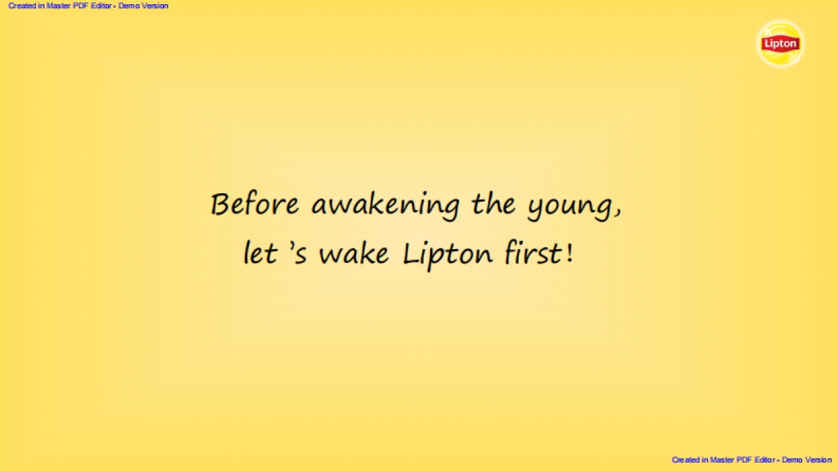 Lipton 2017 Social Campaign Plan_第8页