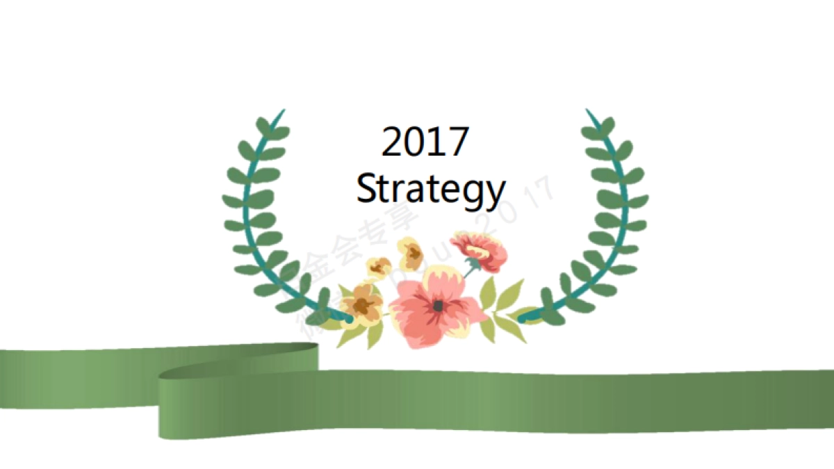 雀羚 2017media plan-Onlylady-0222_第3页