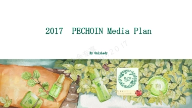 雀羚 2017media plan-Onlylady-0222