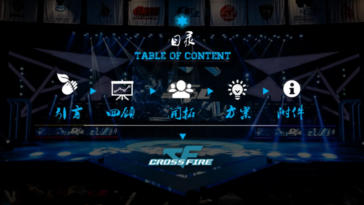 投标书_CFPLS6_游戏风云_VF_第2页