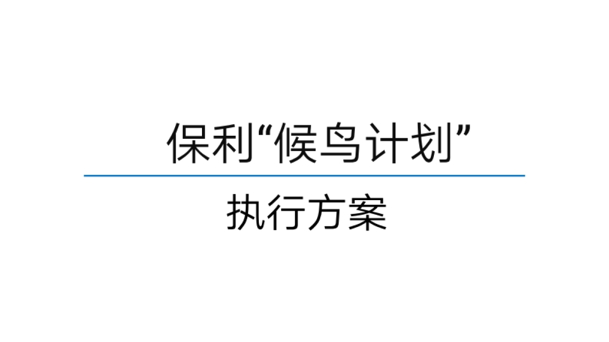 保利粤东候鸟计划方案170112_第4页
