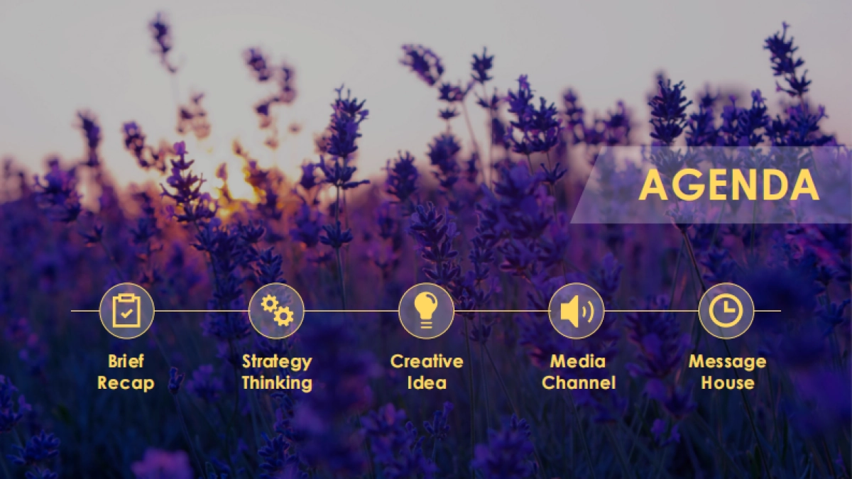 LUX Delicious Campaign Proposal_Reload_0302_第2页