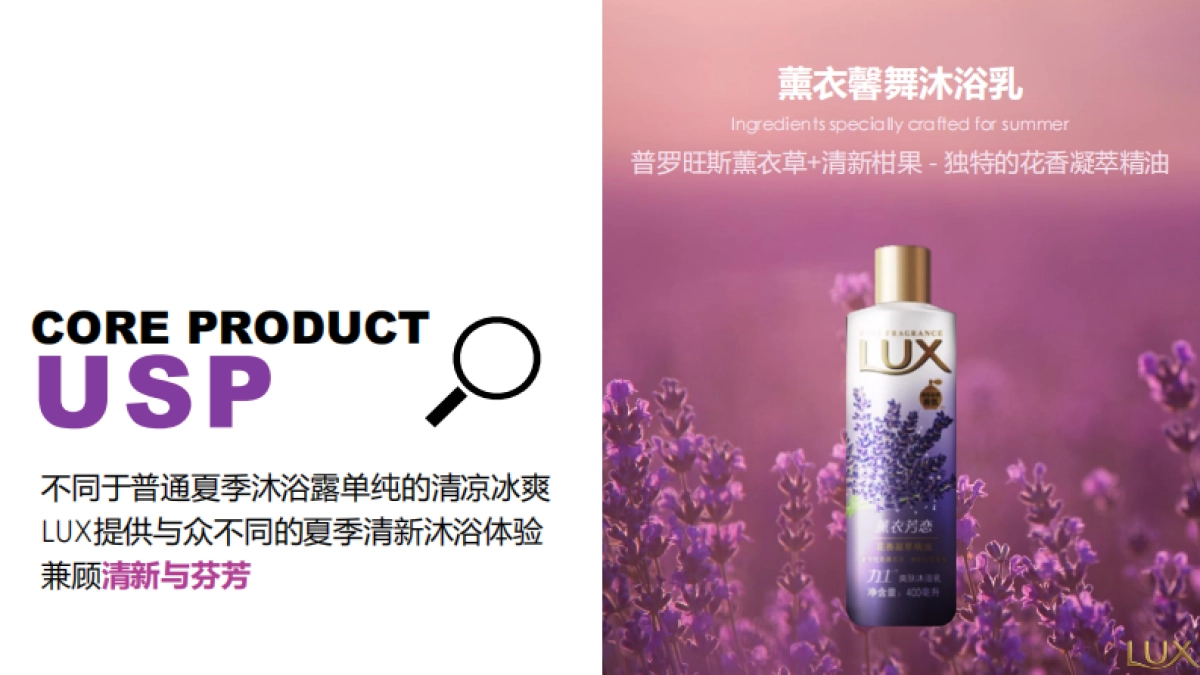 LUX Delicious Campaign Proposal_Reload_0302_第4页