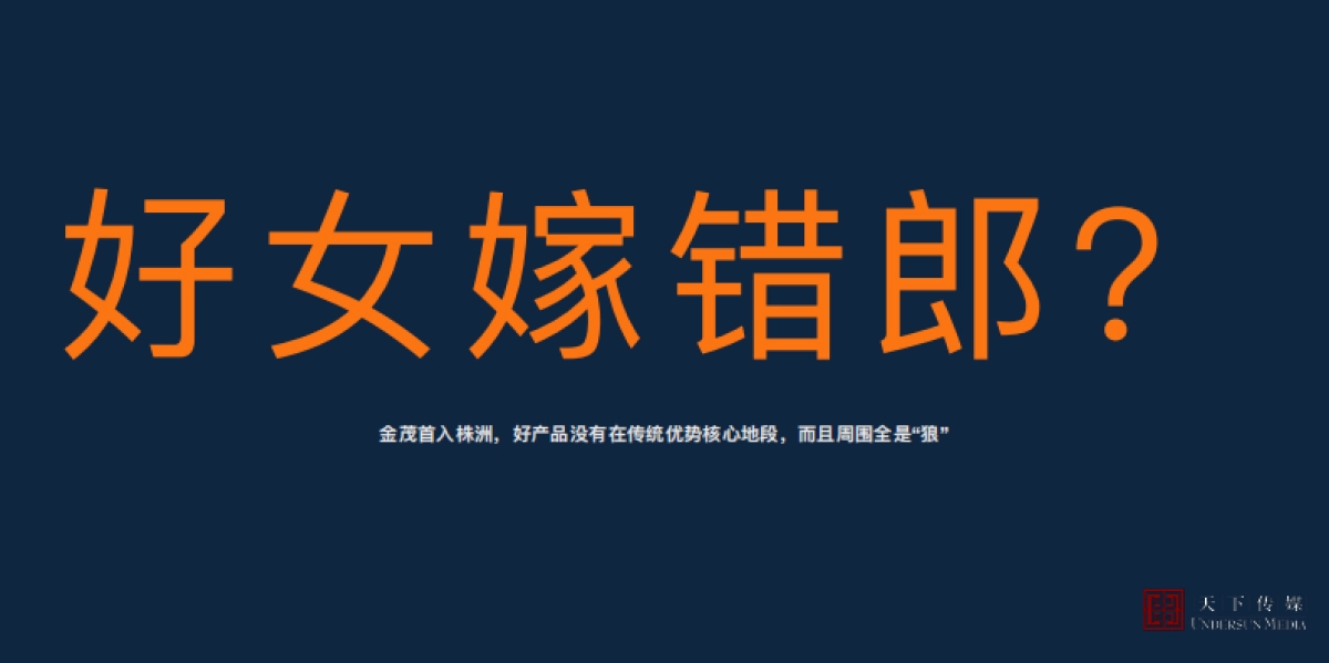 2019株洲金茂悦广告全案终版_第7页