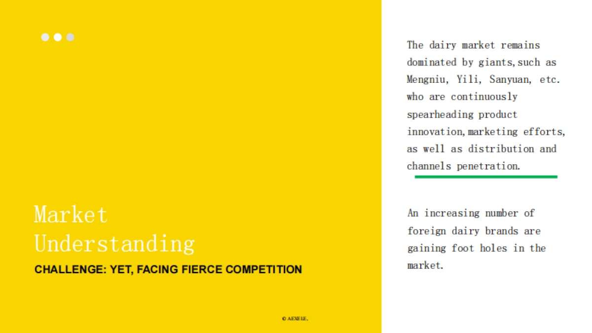 AEXELE x GreatView - Xinxiwang Proposal - 20170504_第10页