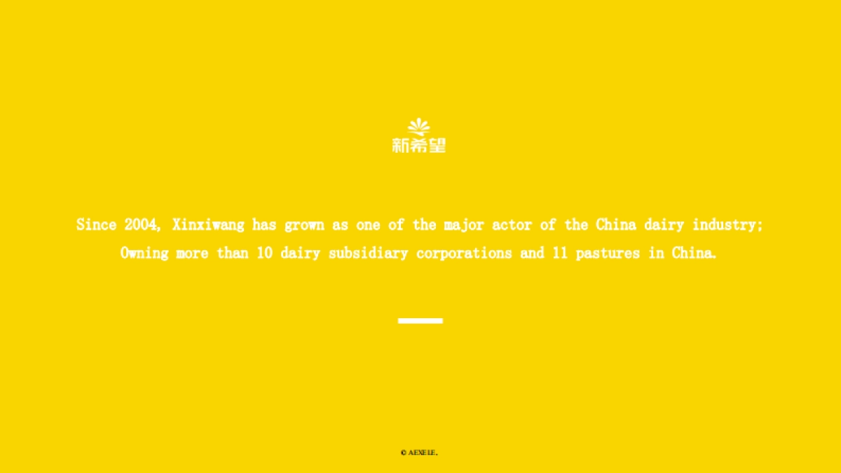 AEXELE x GreatView - Xinxiwang Proposal - 20170504_第2页