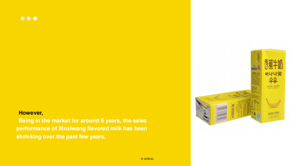 AEXELE x GreatView - Xinxiwang Proposal - 20170504_第7页