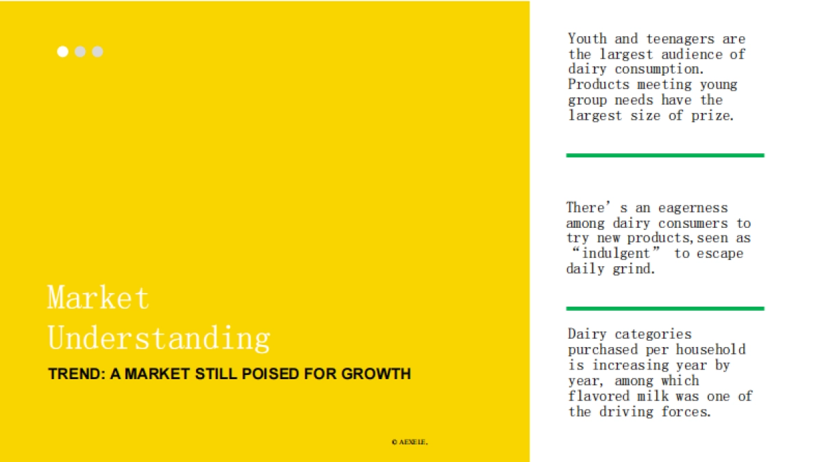 AEXELE x GreatView - Xinxiwang Proposal - 20170504_第9页