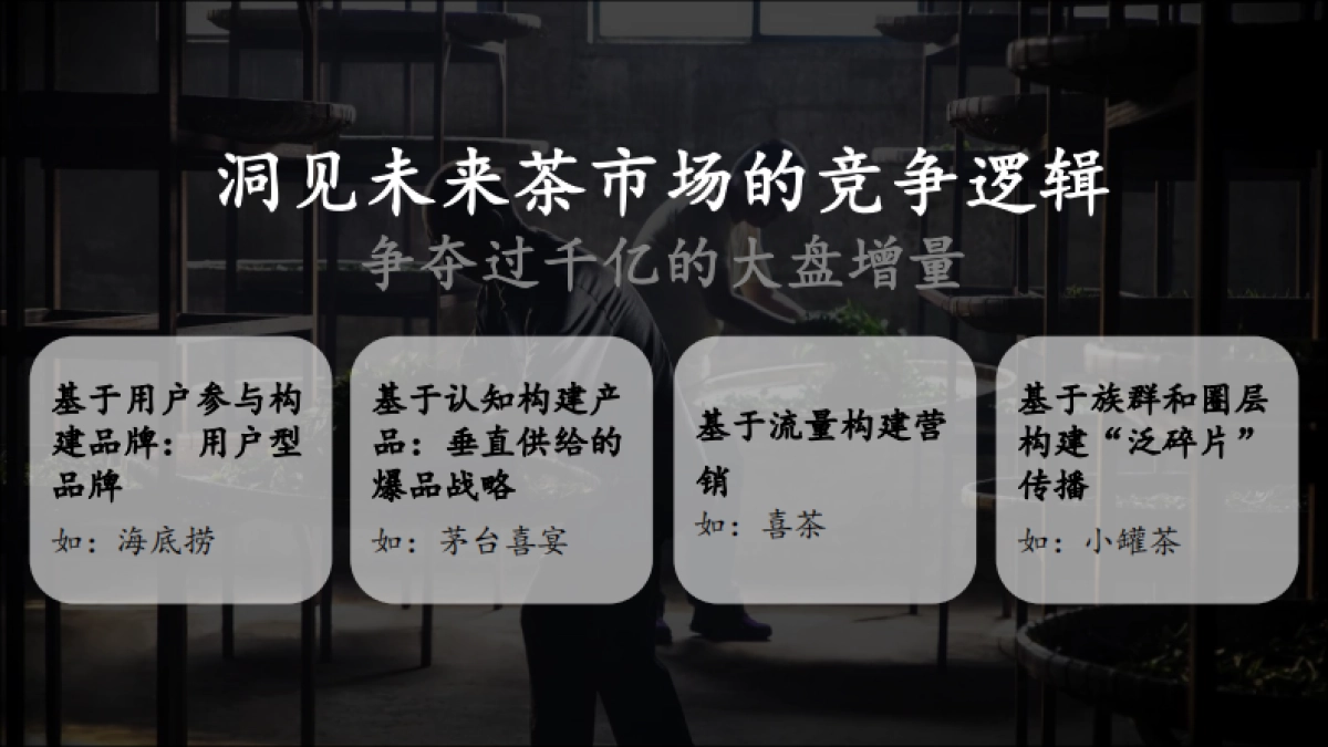 【土林凤凰】用户品牌规划方案_第8页